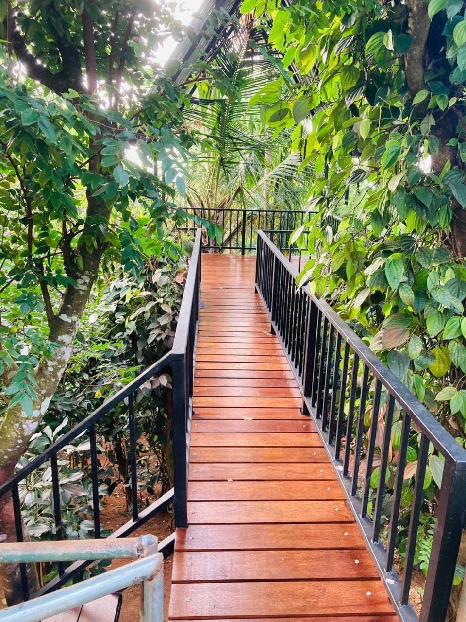 Garden, View (from property/room), Balcony/Terrace, Garden view