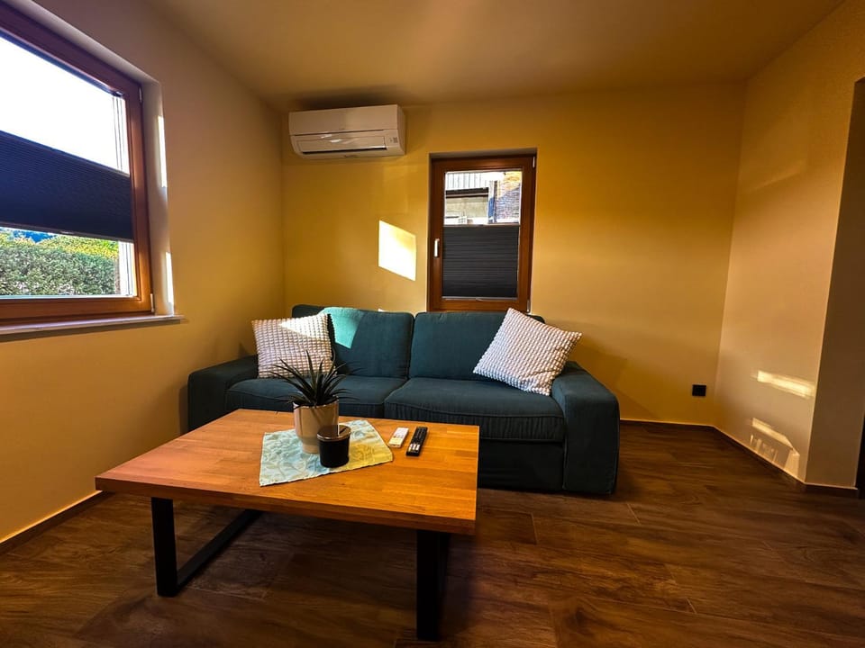 Living room, Seating area, air conditioner