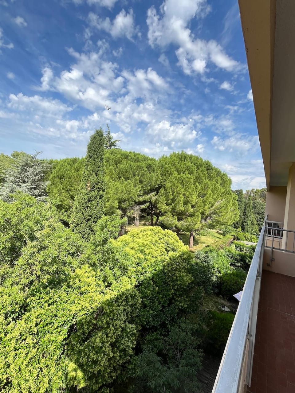 Day, Natural landscape, View (from property/room), Balcony/Terrace, Garden view