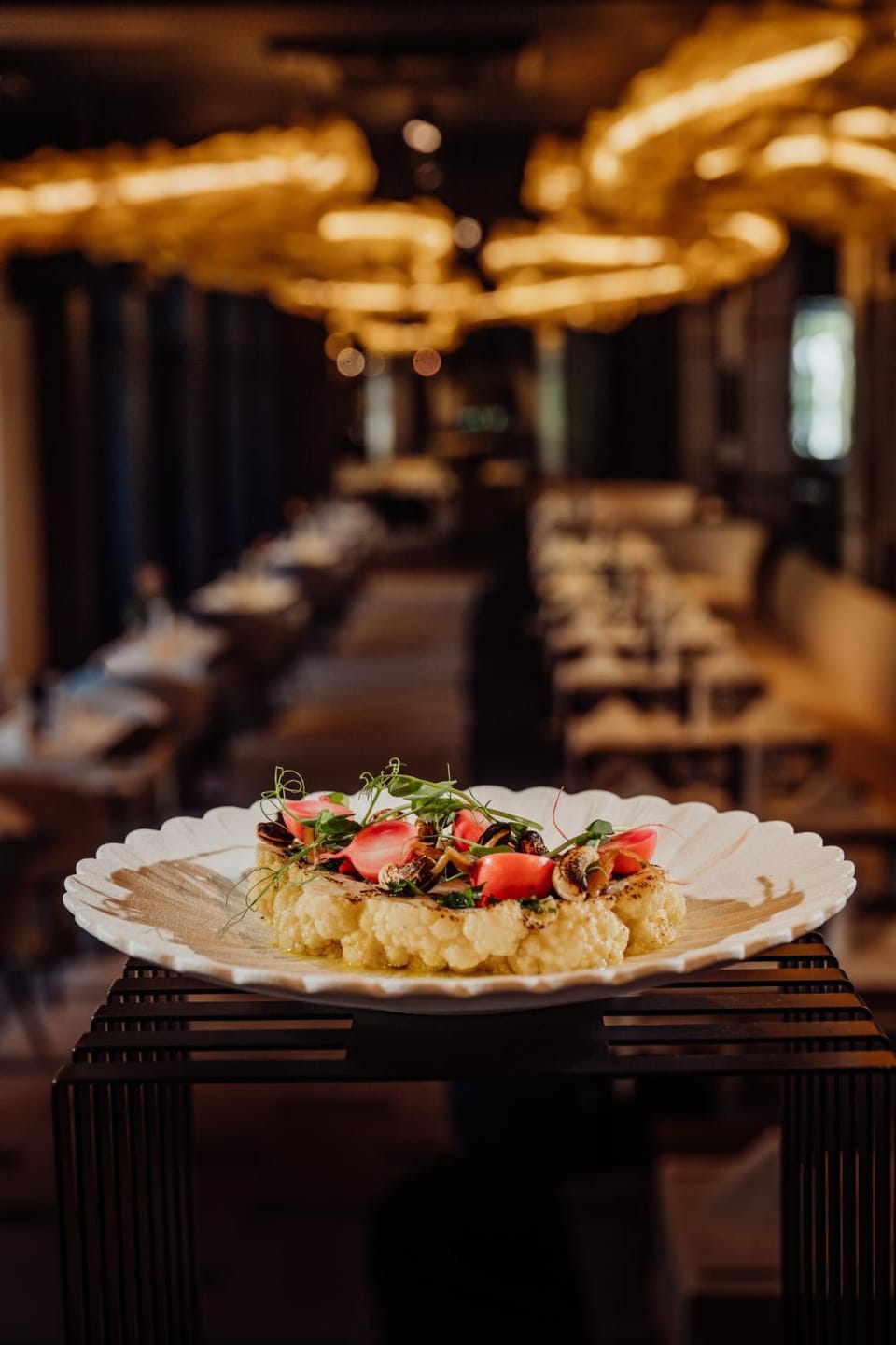 Restaurant/places to eat, Dinner
