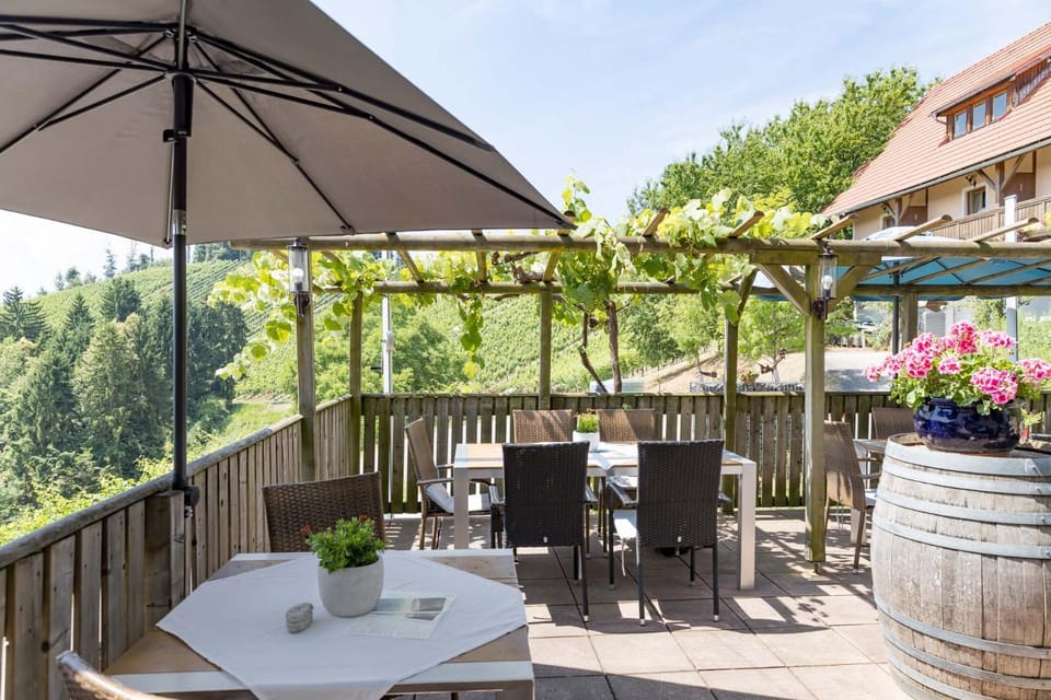 Weingut Peter Skoff - Domäne Kranachberg Bed and Breakfast in Styria