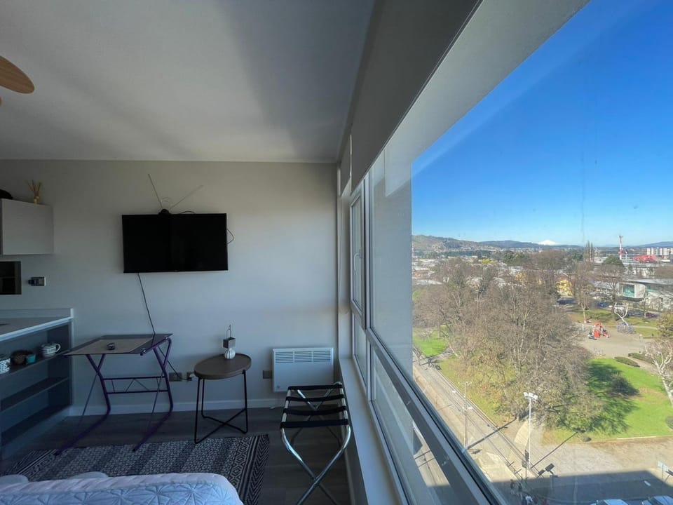 TV and multimedia, Garden view
