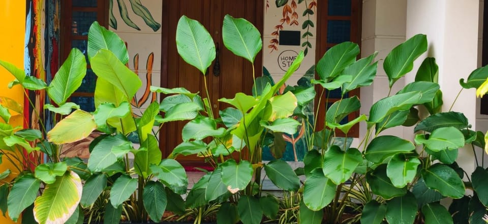 The Mystery palace Vacation rental in Varkala