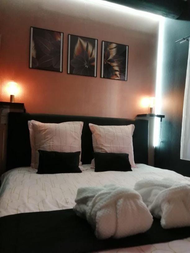Appartements Troyes - Balnéo et Sauna privatifs Apartment in Troyes