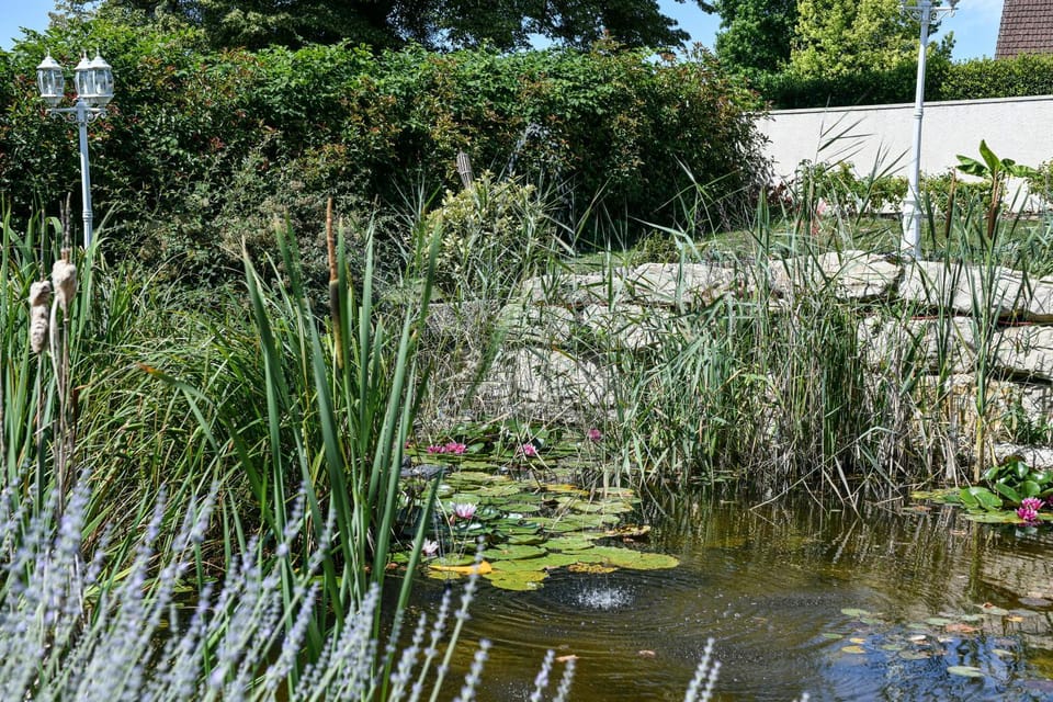 Le Domaine de la Pélissiere Bed and Breakfast in Auvergne-Rhône-Alpes