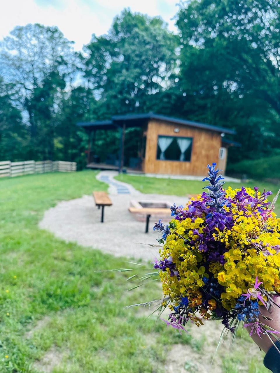 Wood Nest Curtea de Argeș - Cabană de vacanță în natură Campground/ 
RV Resort in Romania