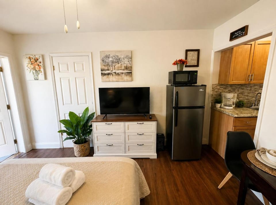 Bed, TV and multimedia, Kitchen or kitchenette, Photo of the whole room, Bedroom, oven, pet friendly