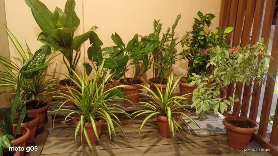 Keshvas Home Stay Vacation rental in Maharashtra