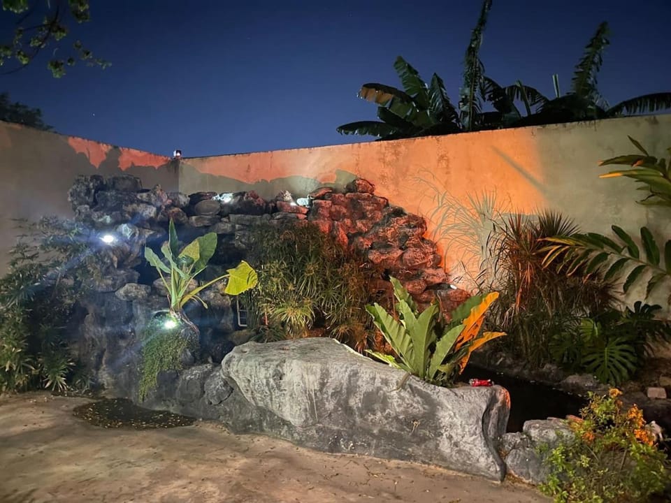 Garden view