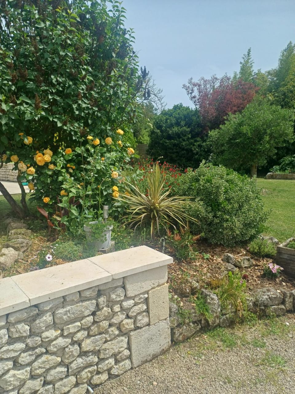 La Belle Demeure - Luxury villa with pool & hot tub Charente Villa in Nouvelle-Aquitaine