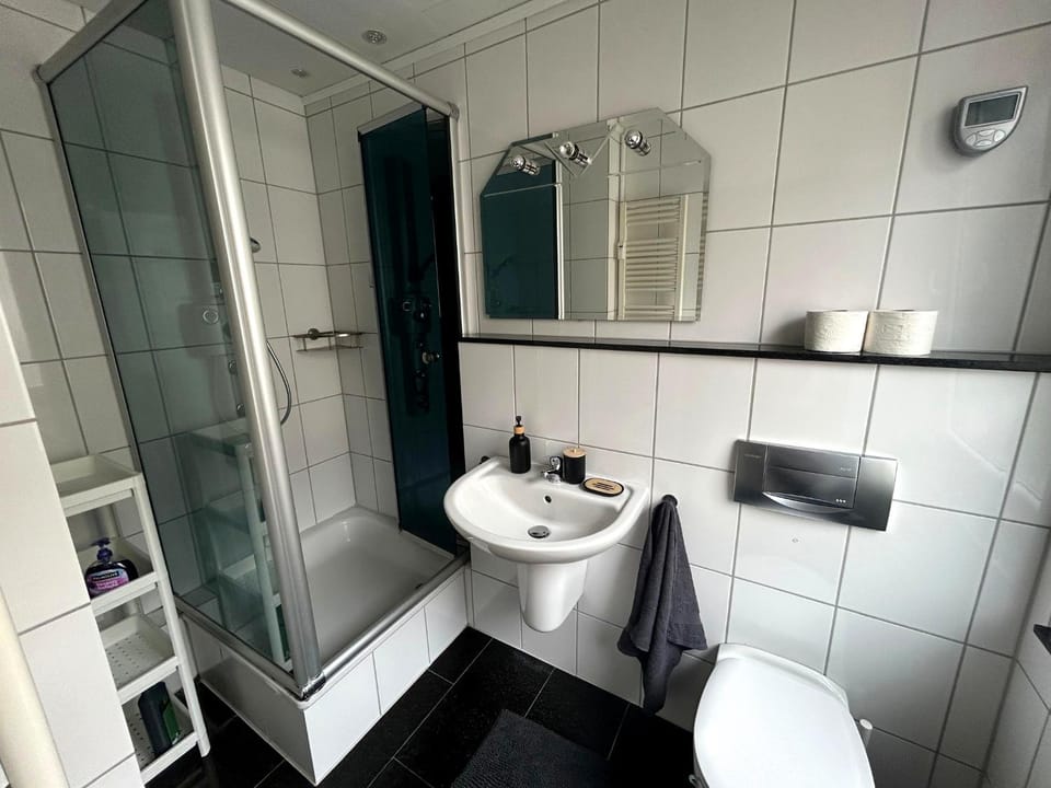 Shower, Toilet, Bathroom, towels