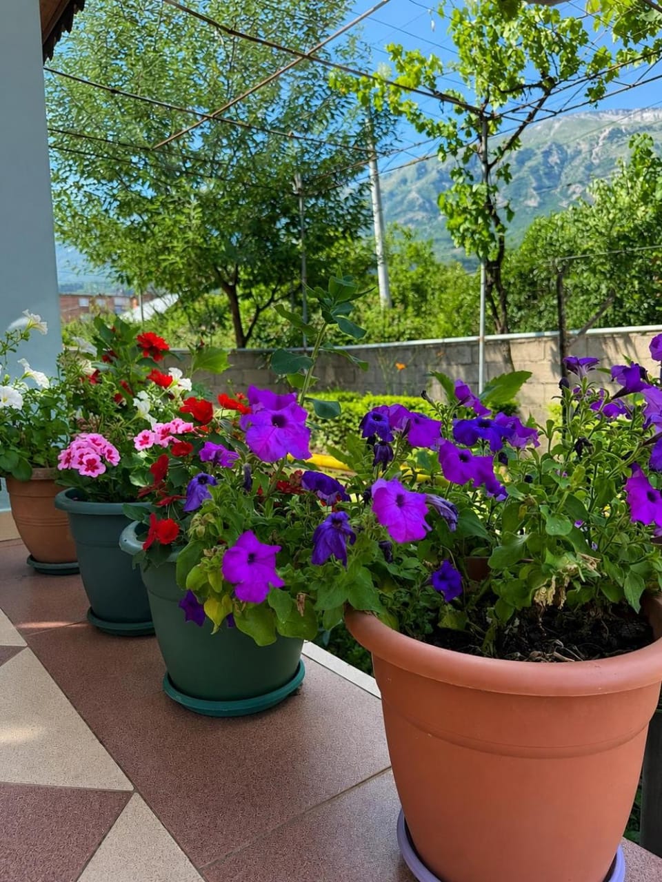 Taos Guest House Permet House in Europe