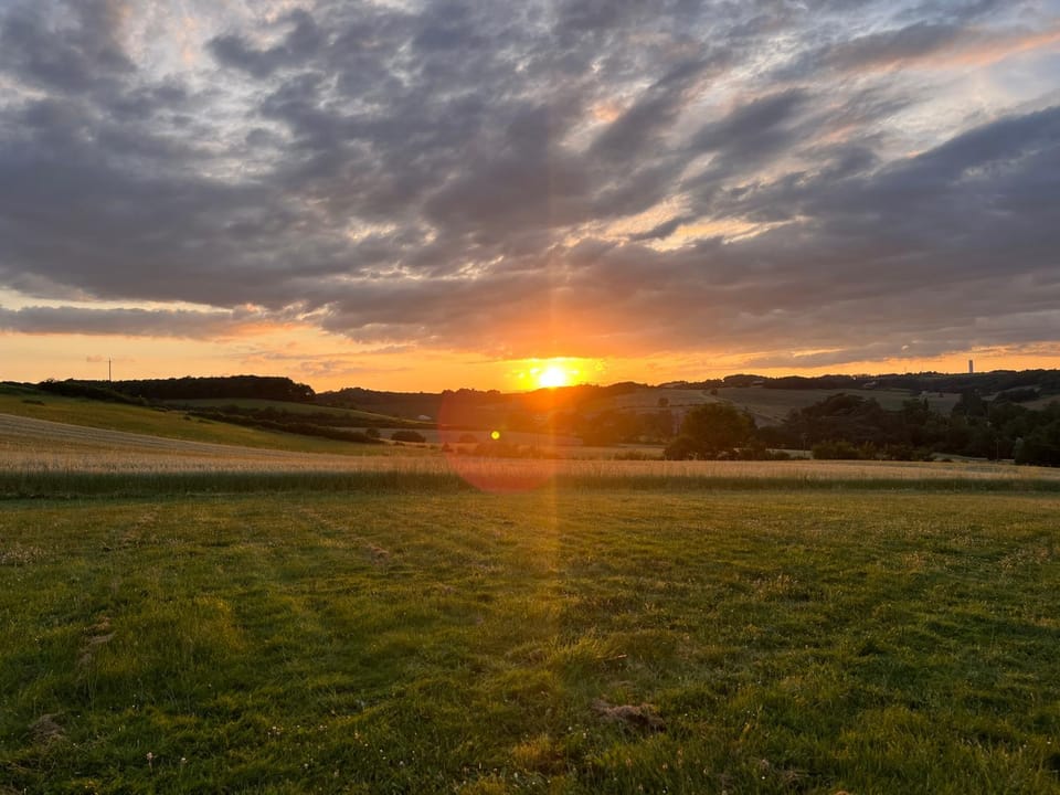 Garden, Sunset