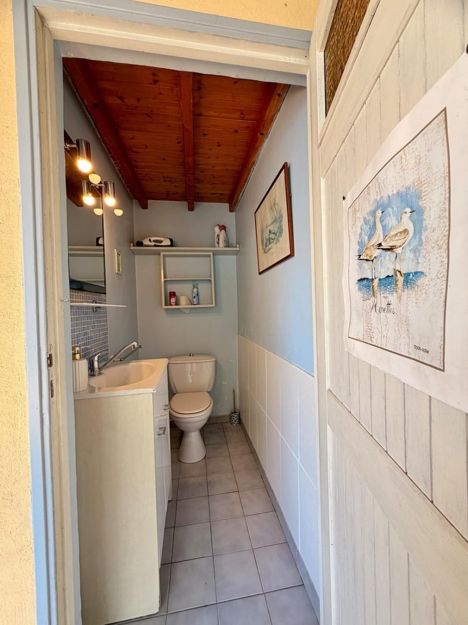 La cabane les pieds dans l'eau Apartment in Doussard