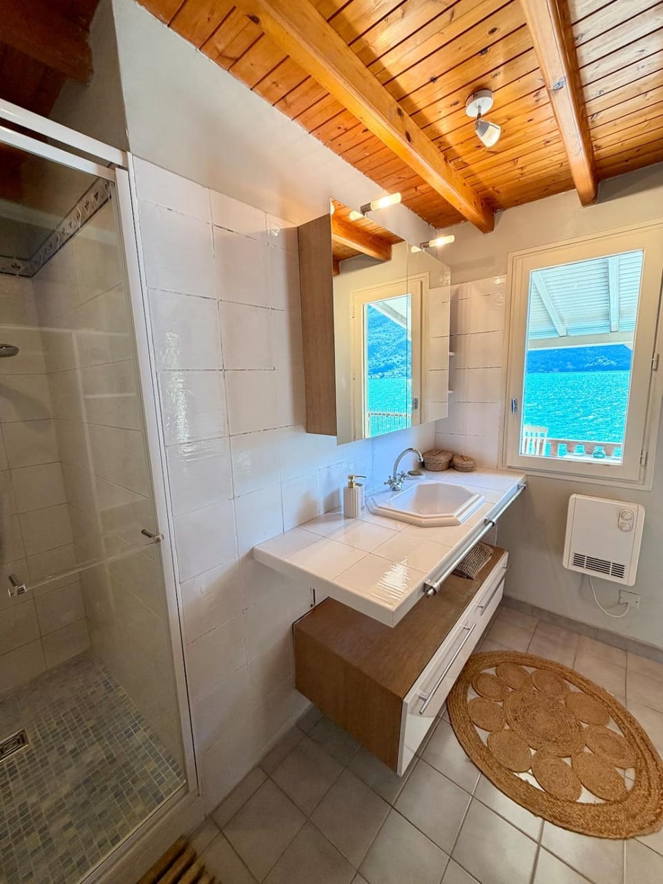 La cabane les pieds dans l'eau Apartment in Doussard