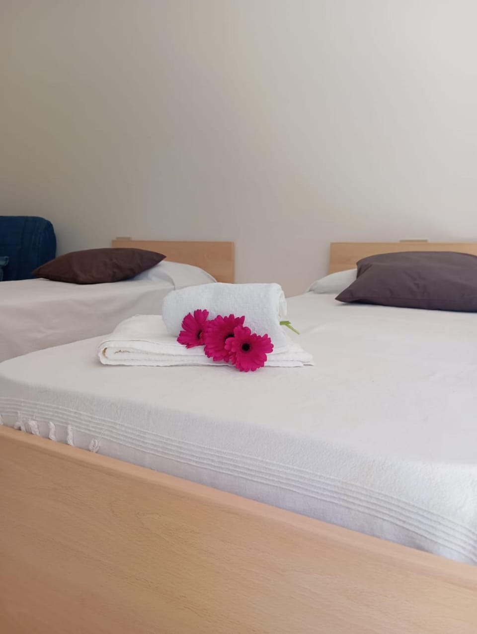 Appartamento Amalfi Apartment in Loano