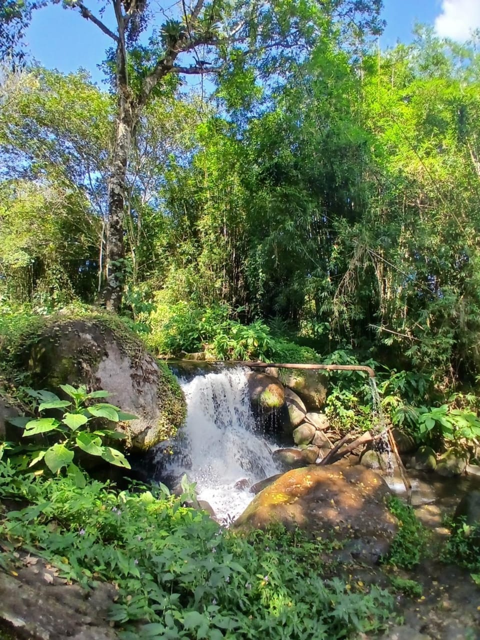 Sede Nature lodge in Sao Jose dos Campos