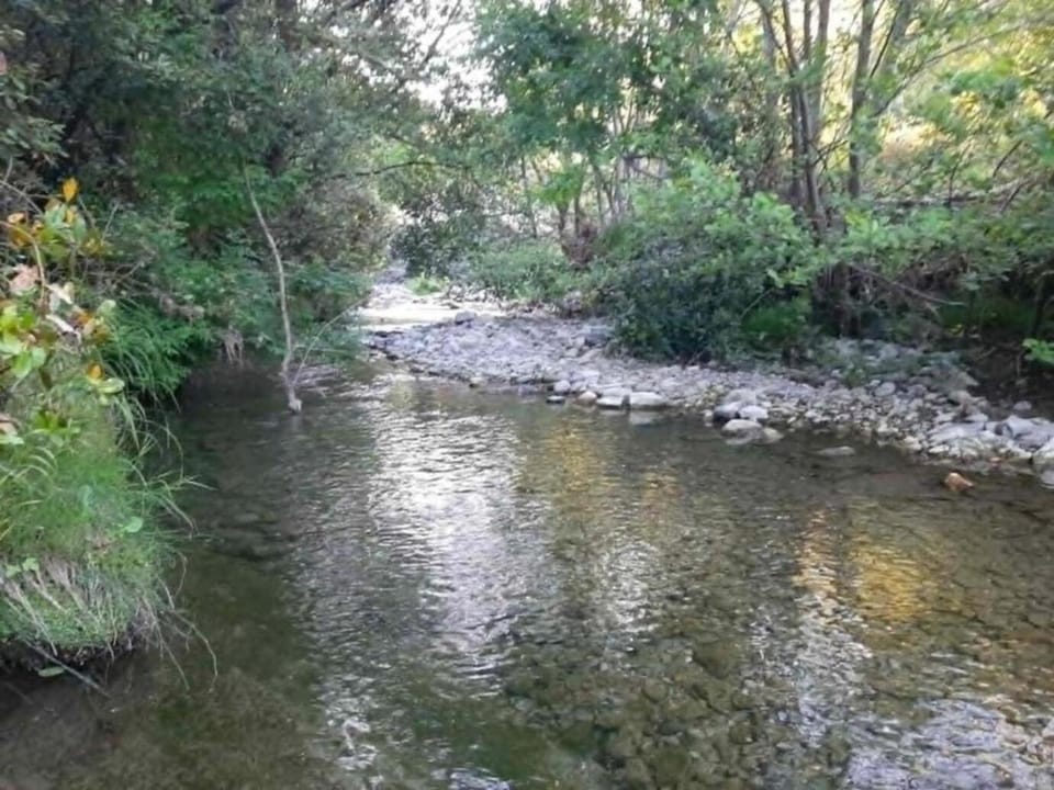 Spring, Day, Natural landscape, River view
