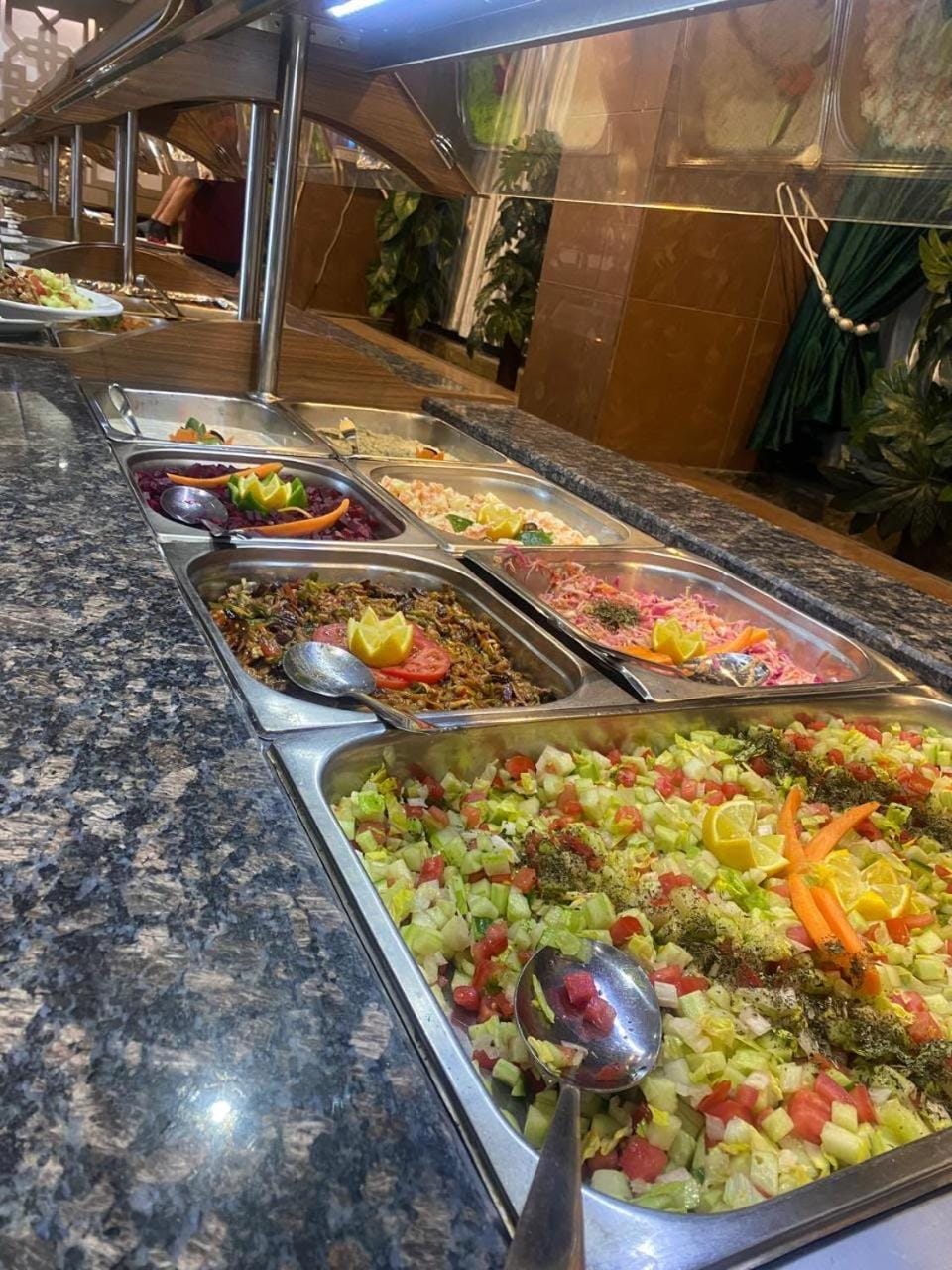 فندق قصر السدير Hotel in Africa