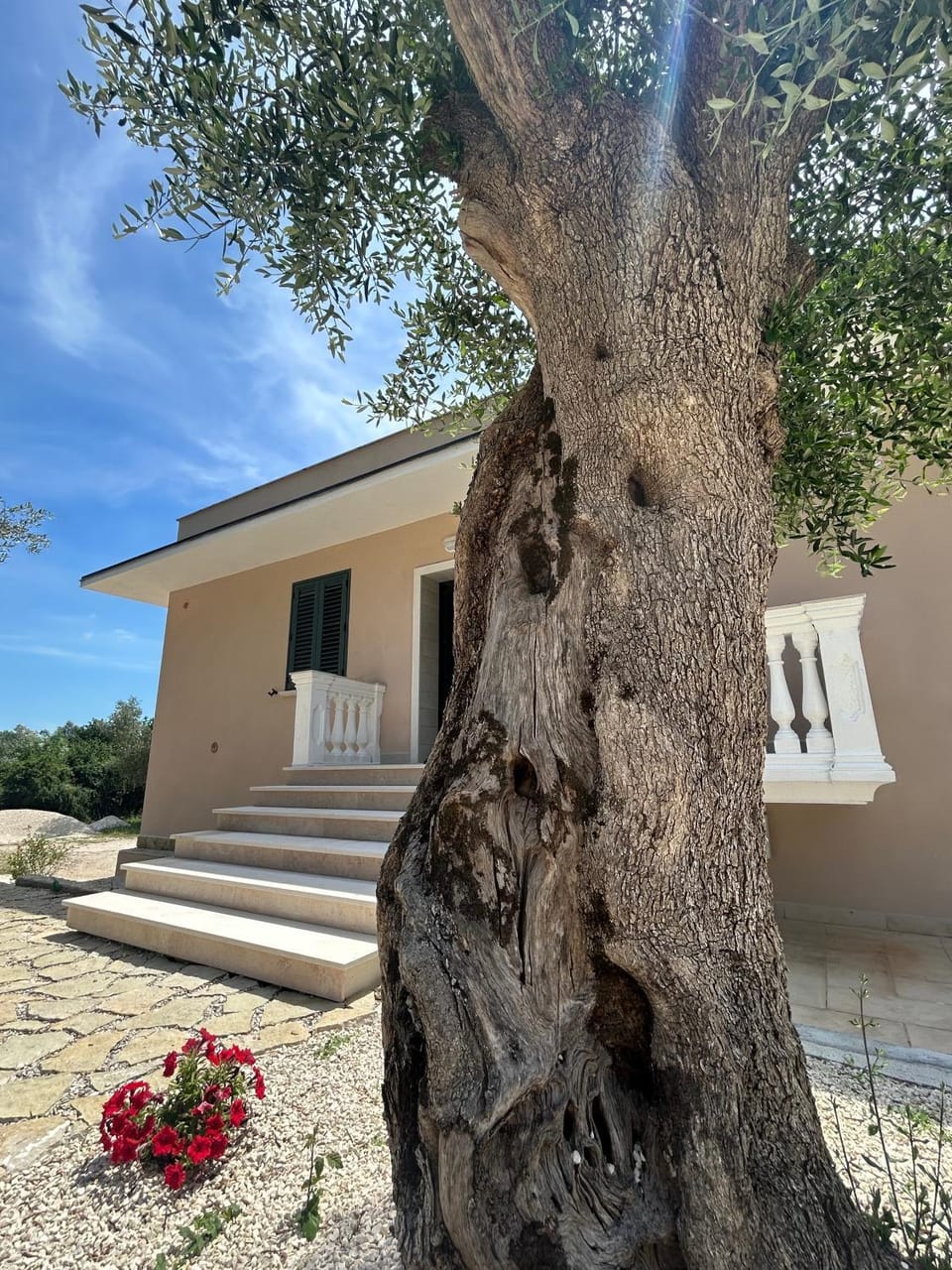 Property building, Garden
