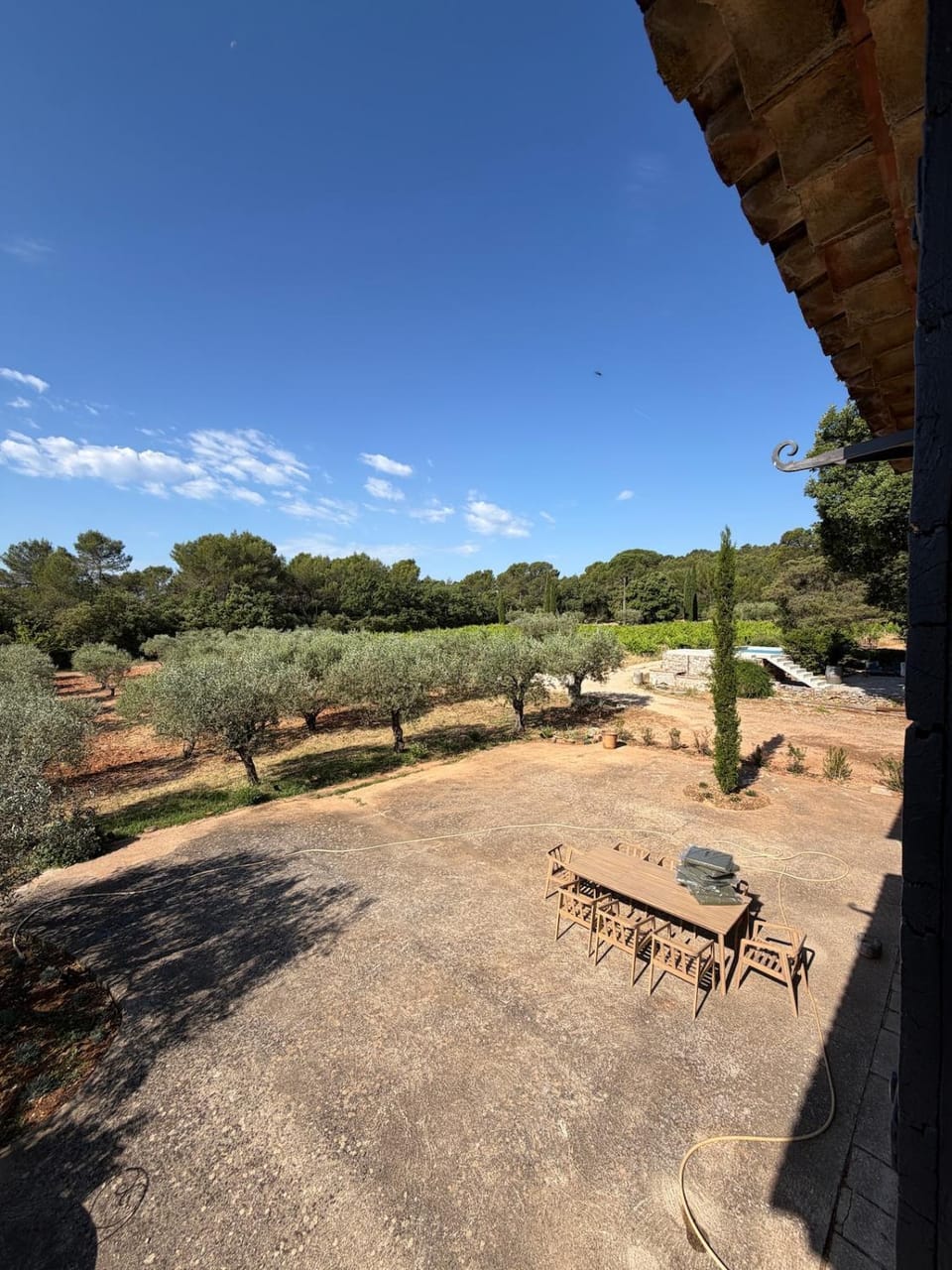 Garden view