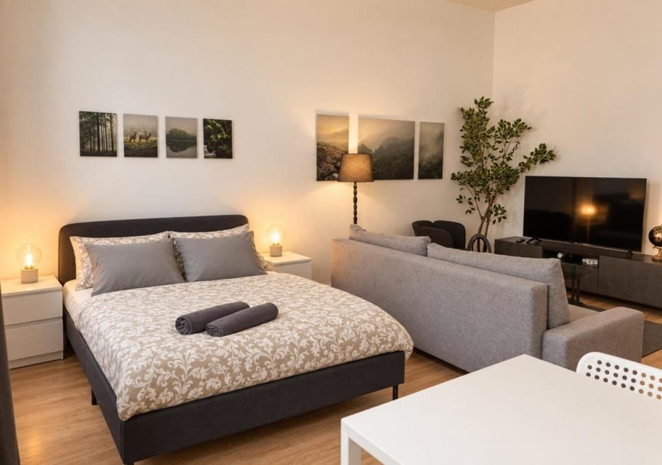 Bed, TV and multimedia, Living room, Seating area, Bedroom