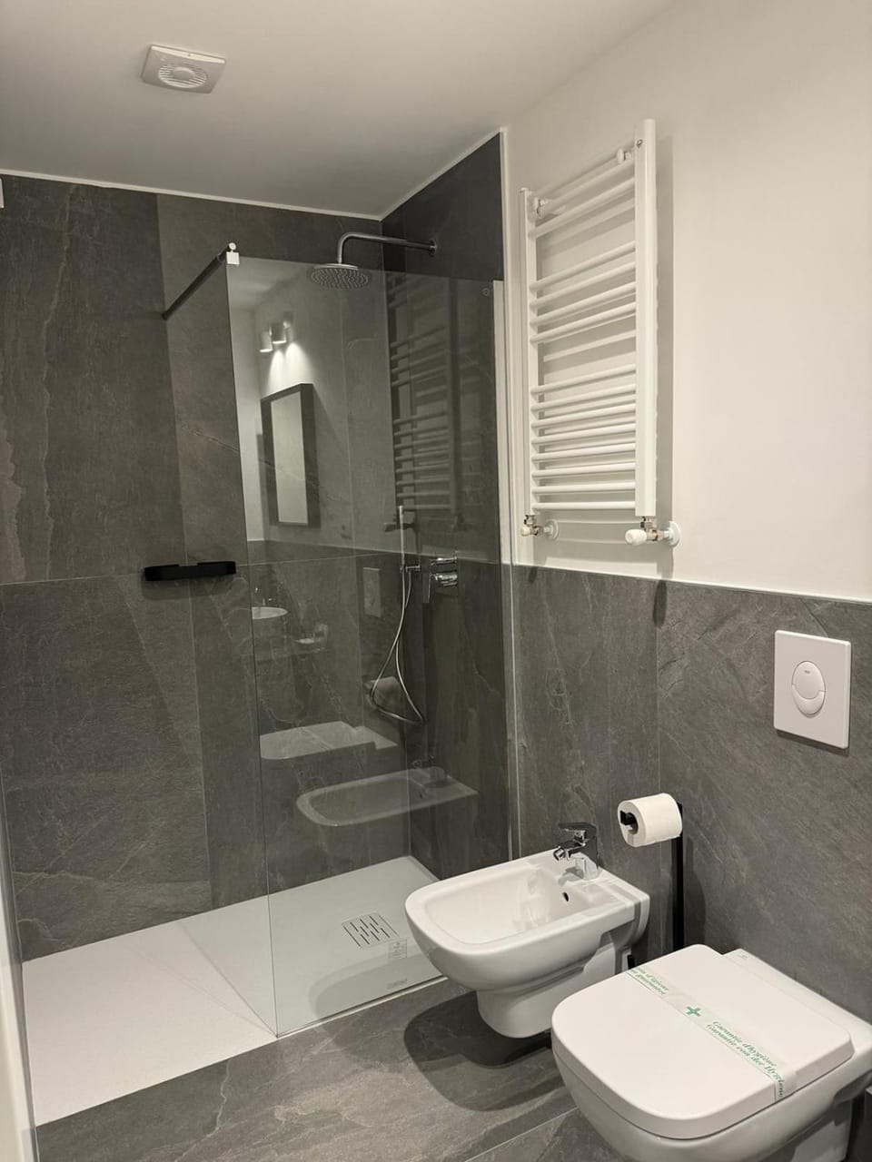 Shower, Toilet, Bathroom, bidet