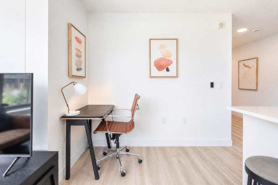Luxury Apt Near Harvard Business & Gym Apartment in Allston