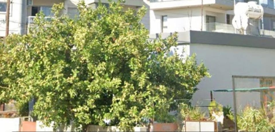 Xrysanthis Kaouris Vacation rental in Limassol City