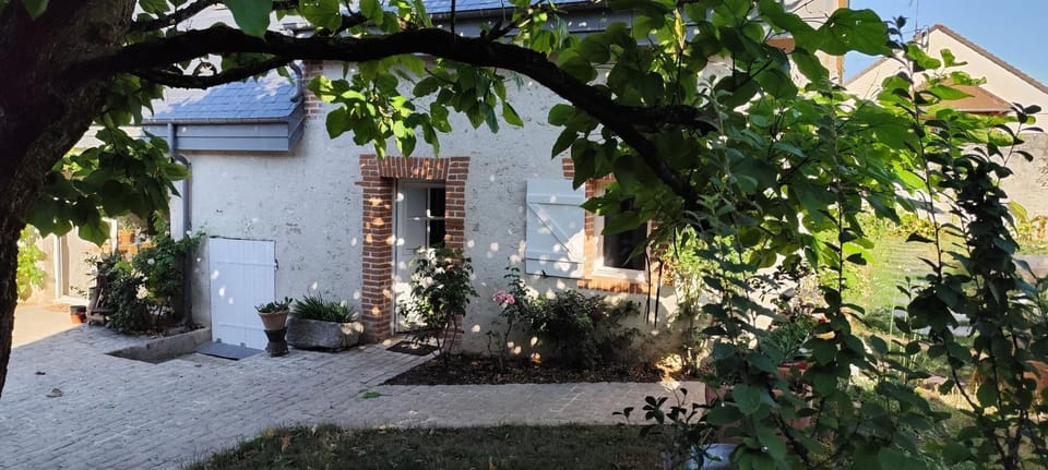 Facade/entrance, Garden