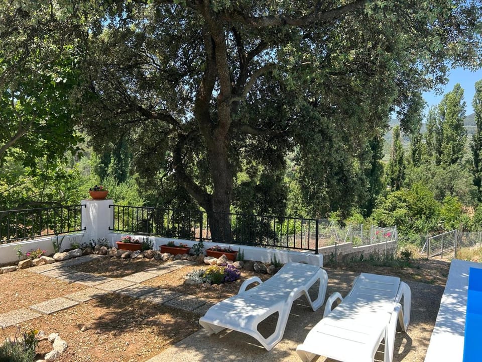 Garden, Garden view