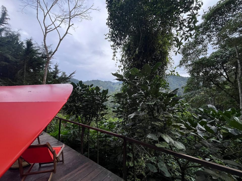 Domo Poptas in the high mountains Bed and Breakfast in North Santander, Colombia