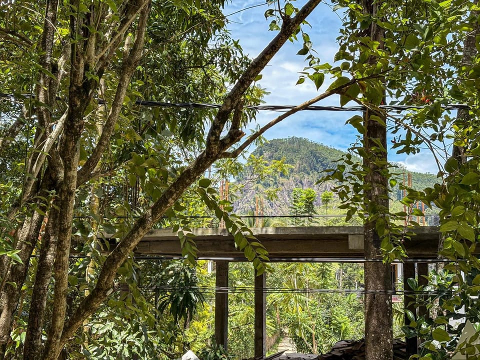 Mountain view