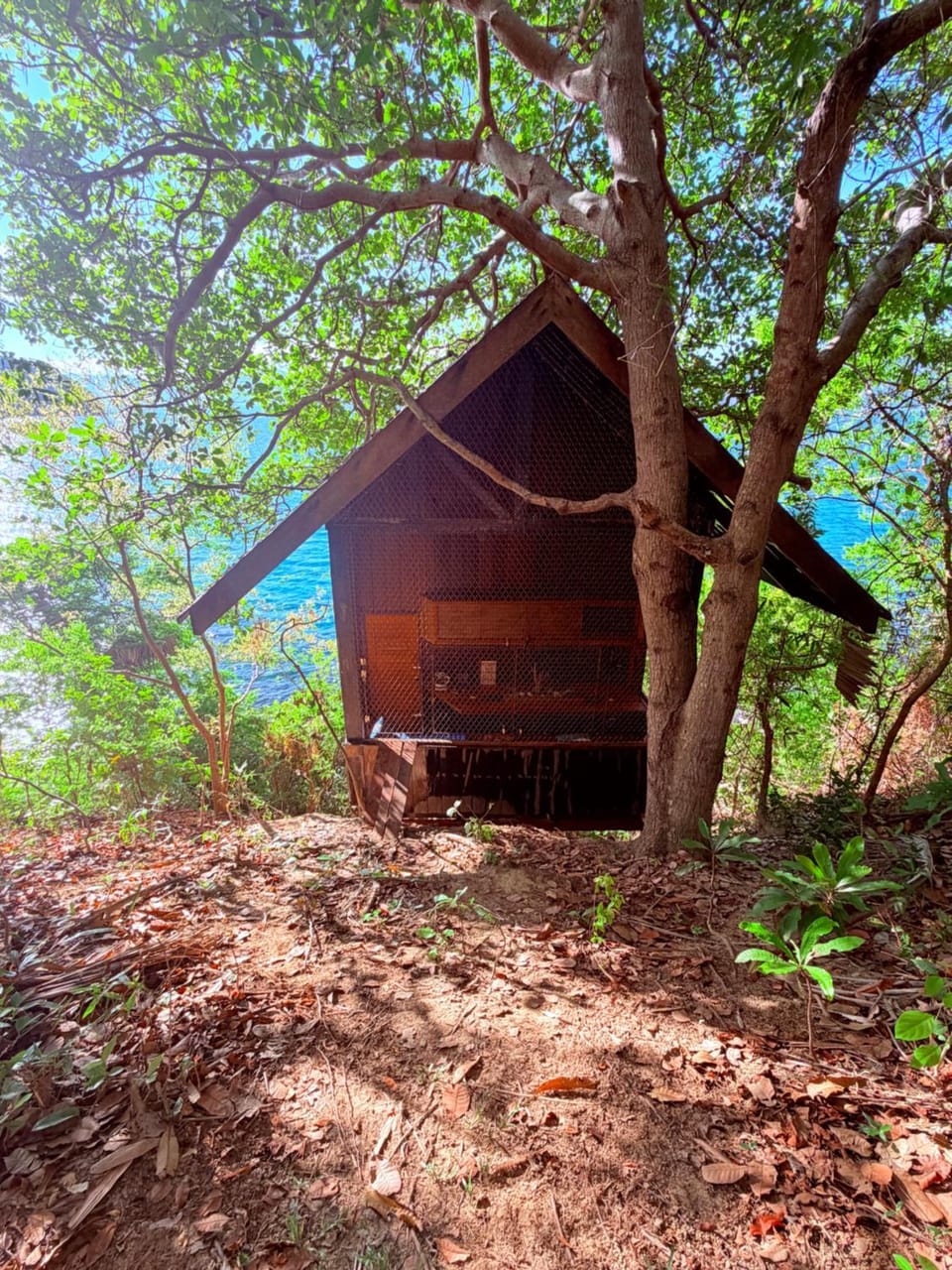 Private Island & Diving Center in Palawan Resort in Puerto Princesa