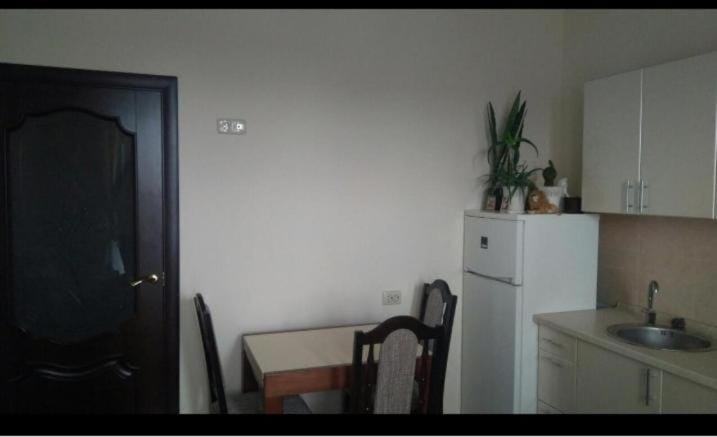 Stryiska Apartment in Lviv