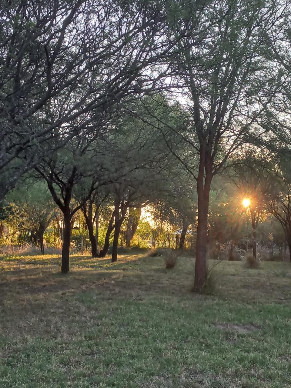 Garden view, Sunset