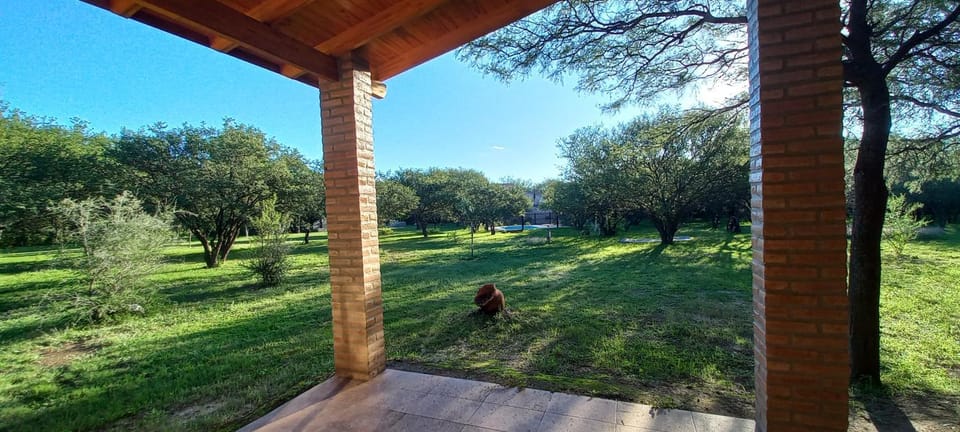 Natural landscape, Garden view