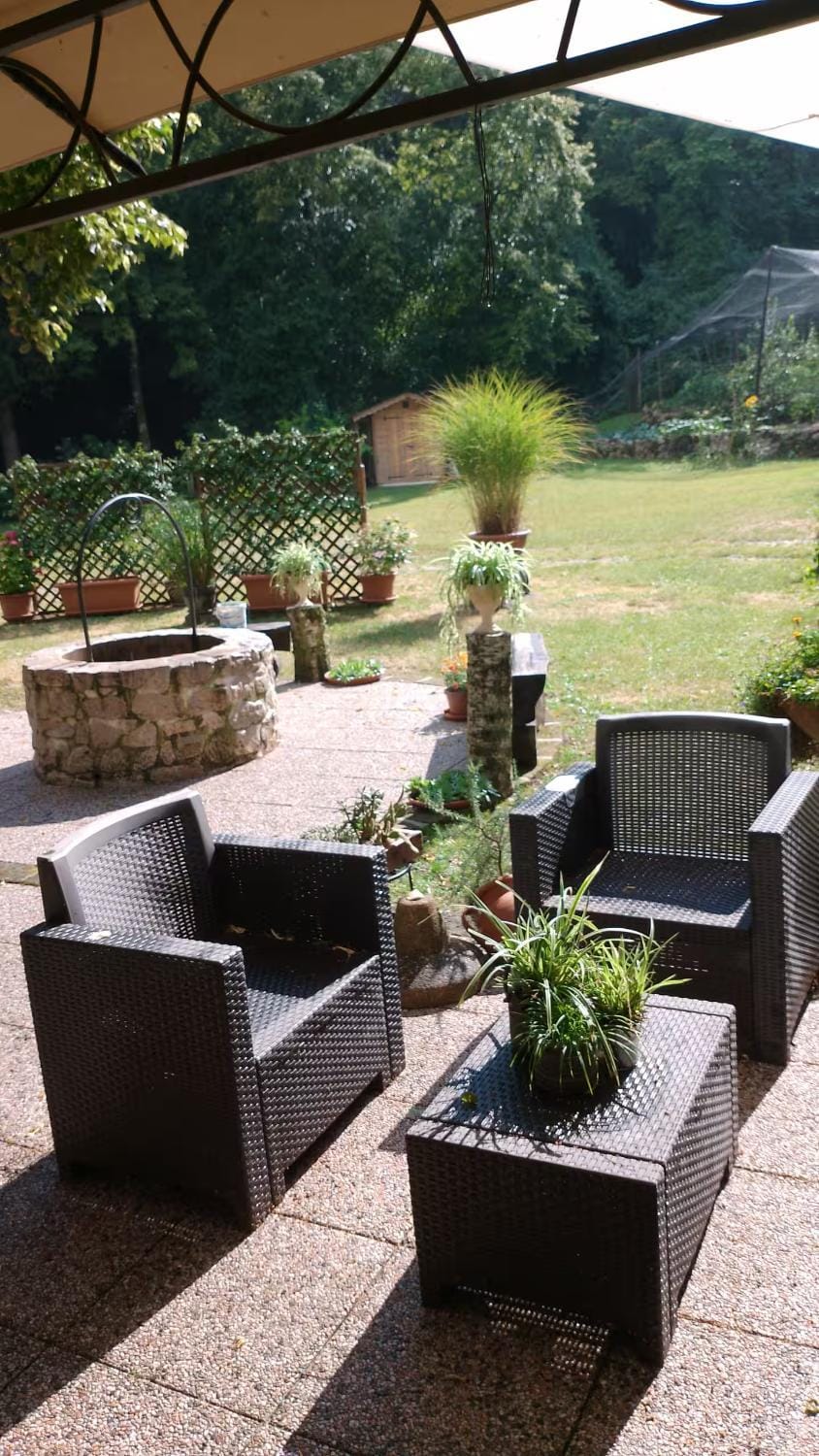Garden view