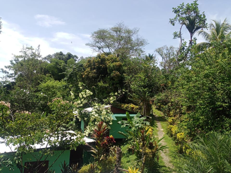cabinas mandarina Cabin in Puerto Viejo Talamanca