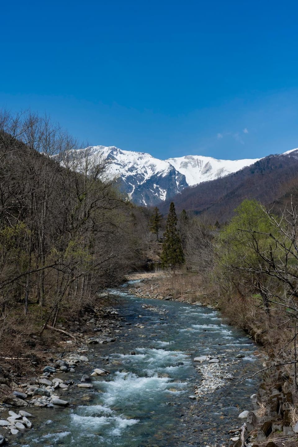 Natural landscape