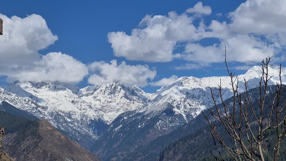 Ivory Nest Villa Villa in Himachal Pradesh