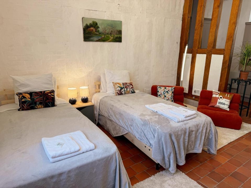 Studio centre-ville, animaux admis - 2 pers. - FR-1-491-487 Apartment in Blois