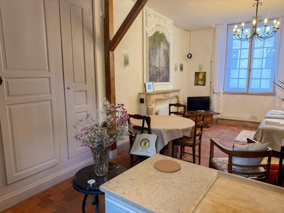 Studio centre-ville, animaux admis - 2 pers. - FR-1-491-487 Apartment in Blois