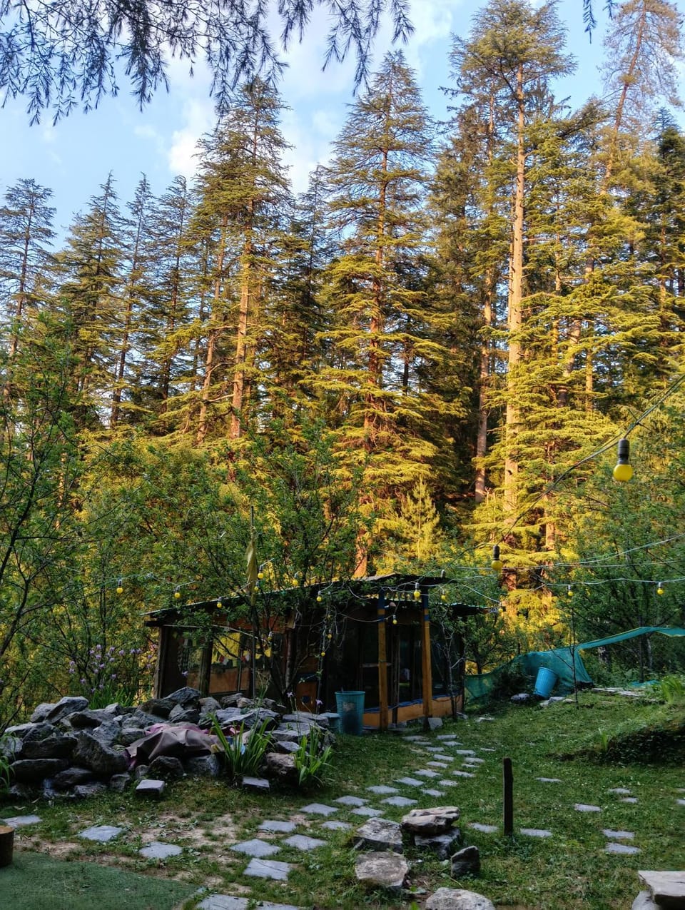 Day, Natural landscape, Garden view