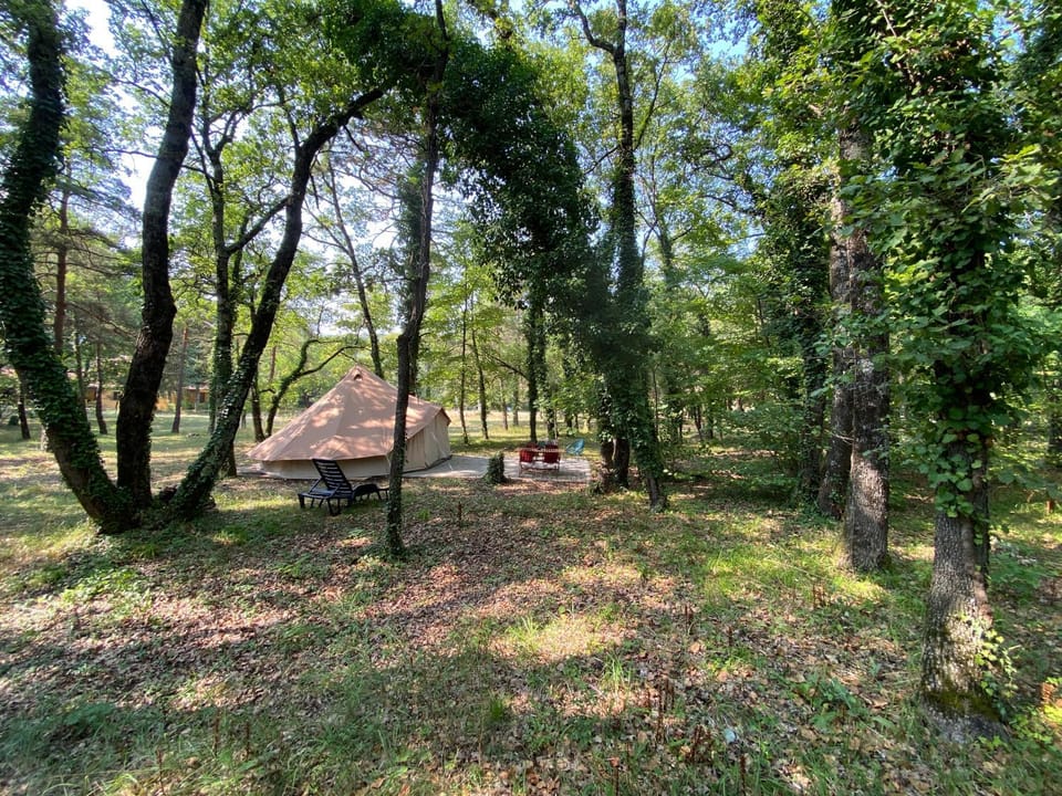Day, Natural landscape, Garden view
