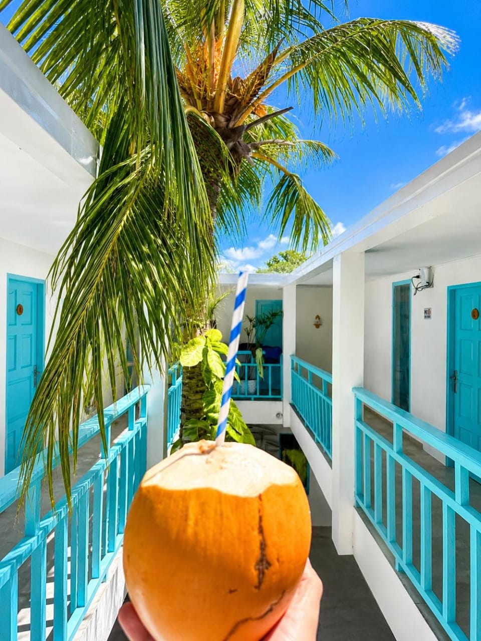 Patio, Balcony/Terrace, Inner courtyard view