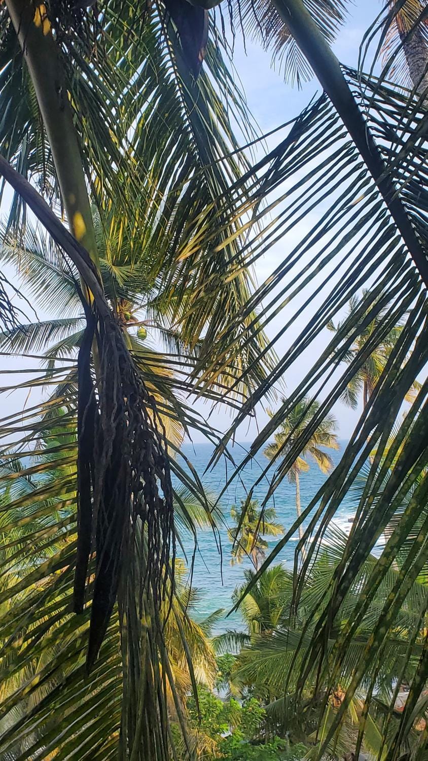 Natural landscape, Beach, Sea view