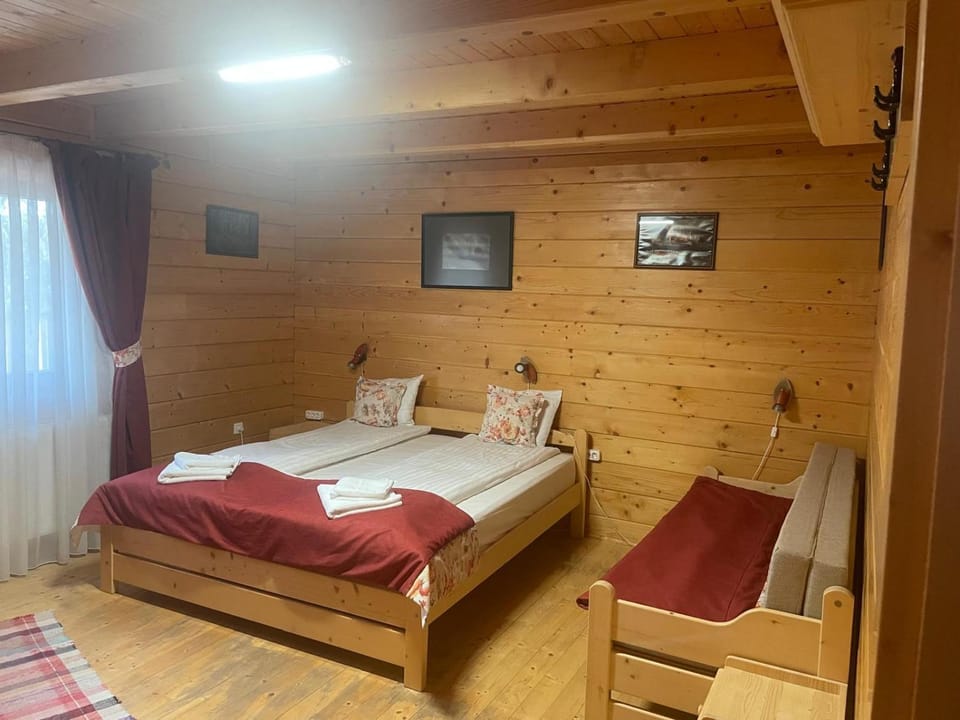 Berke Lodge Villa in Romania