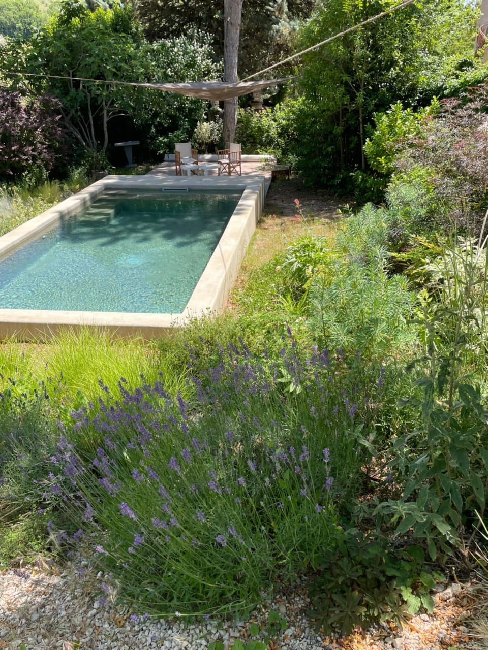 Pool view