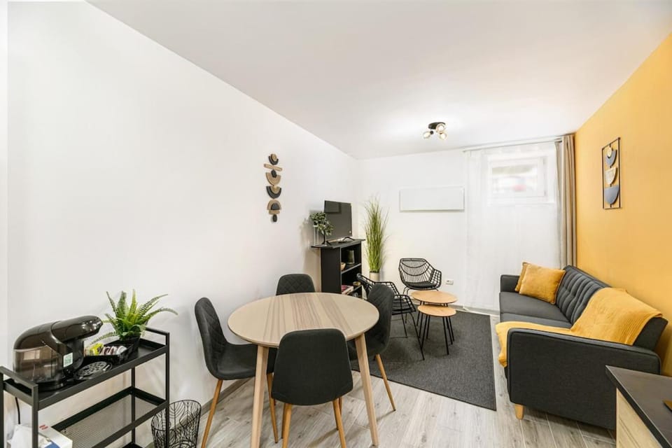 Cozy Studio Near Brasov Old Town Agriselor Street Apartment in Brasov